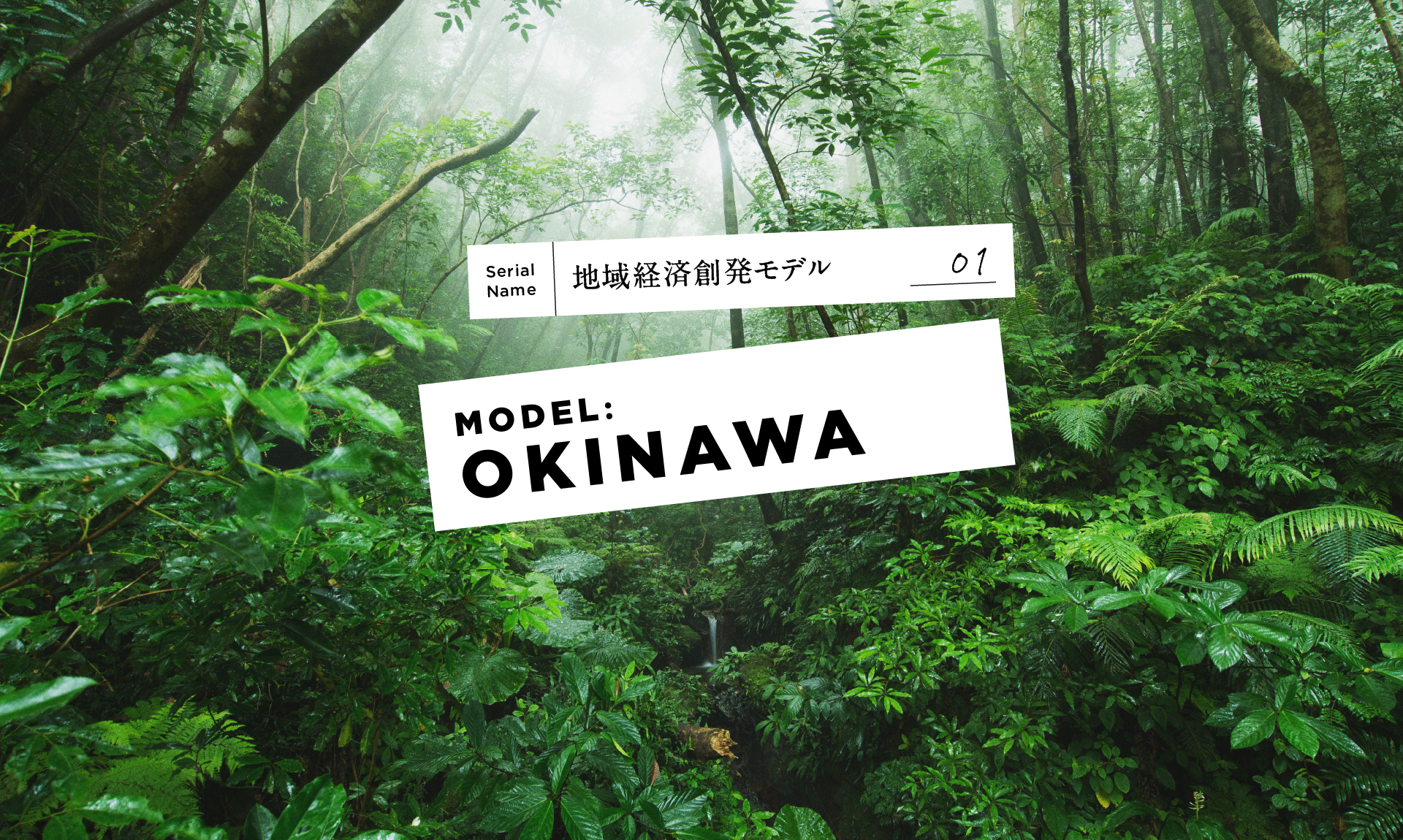 【刀流 地方創生】沖縄北部新テーマパークモデルが地域の「ザル経済」を変える