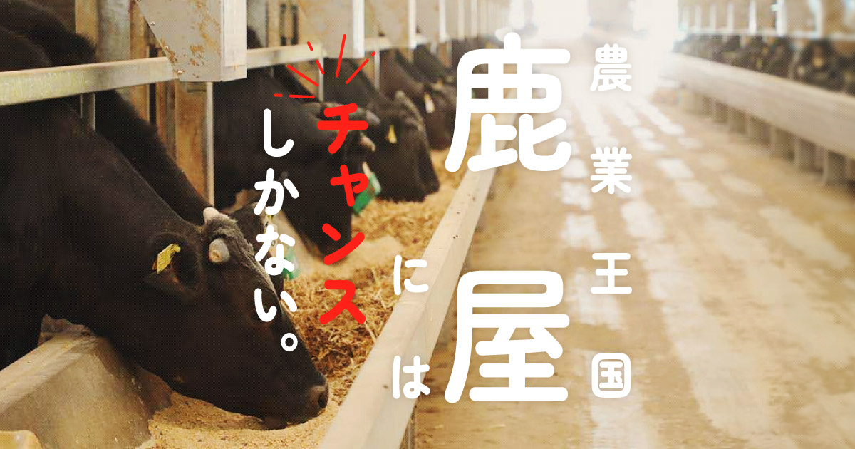 Google、アクセンチュアのハイスペック人材は、なぜ鹿児島で複業する